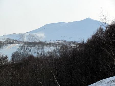 427-ann-michi.jpg