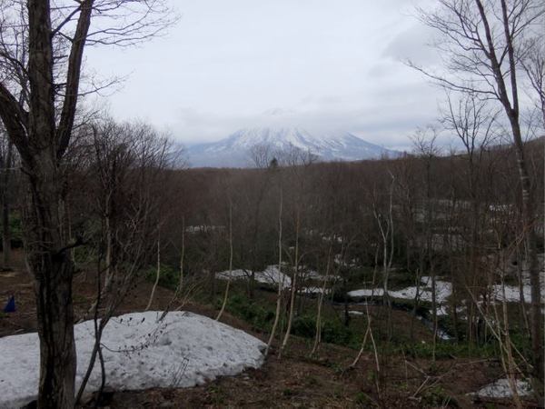 428-yo-de.jpg