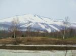 503-waisu.jpg