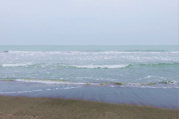 508-taiheiyou.jpg