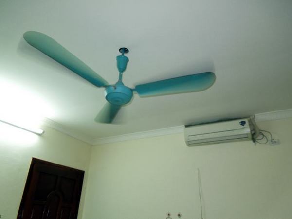 515-AP-ima.jpg