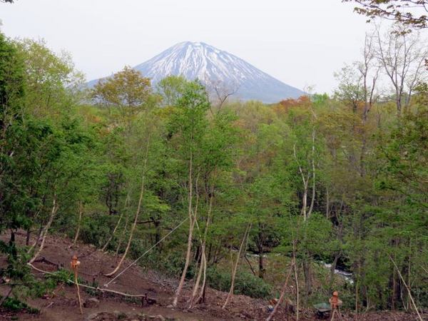 520-yama-kawa-2.jpg
