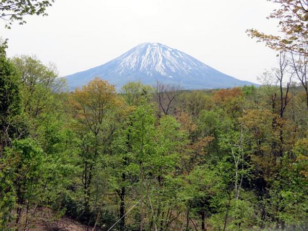 520-yo-kawa-b.jpg