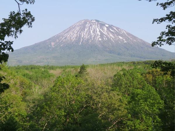 521-yo-yane-2.jpg