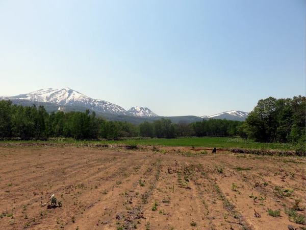 522-w-i-a.jpg