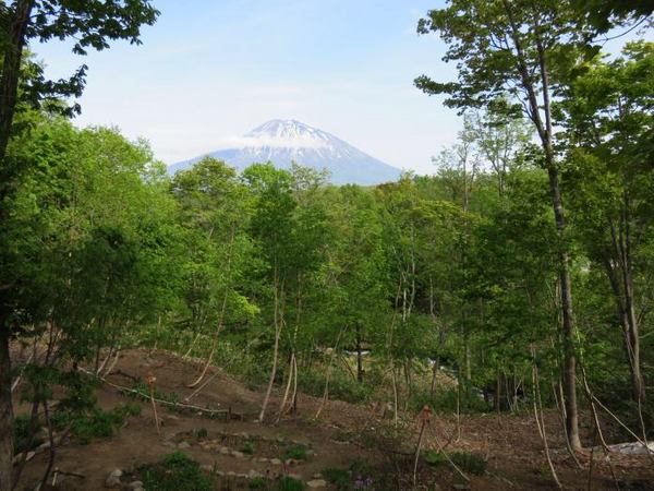 525-yo-ja.jpg