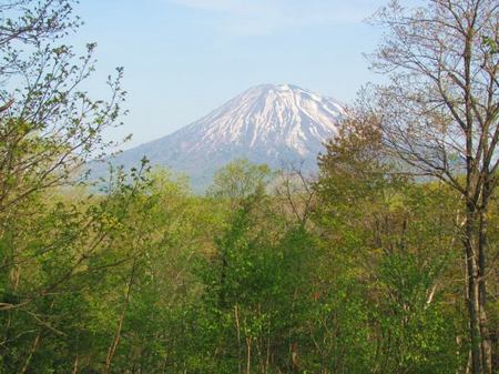 526-yo-dekki.jpg