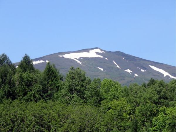 528-waisu.jpg