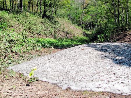 530-zannsetu.jpg