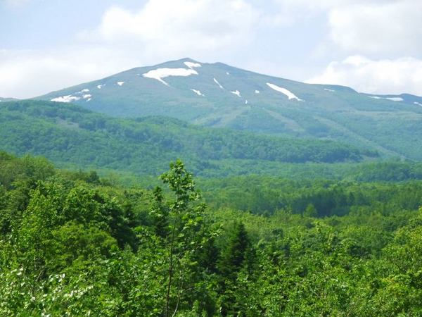 611-waisu.jpg