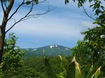 619-waisu-2.jpg