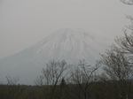 7-yotei.jpg