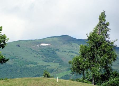 716-waisu.jpg