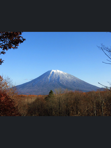 7E2A75FF-0C53-4ECF-8040-631F5E7E1018.png