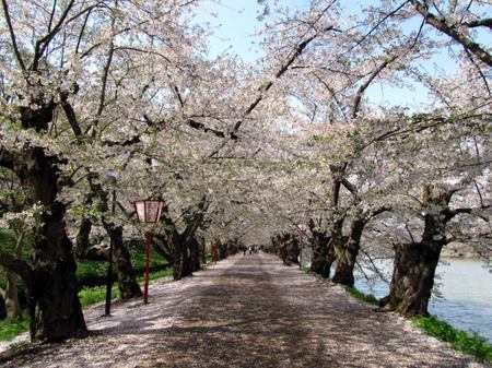 8-hirosaki-michi.jpg