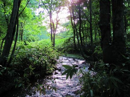 803-kawa.jpg
