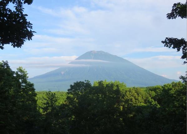 805-yo-de.jpg