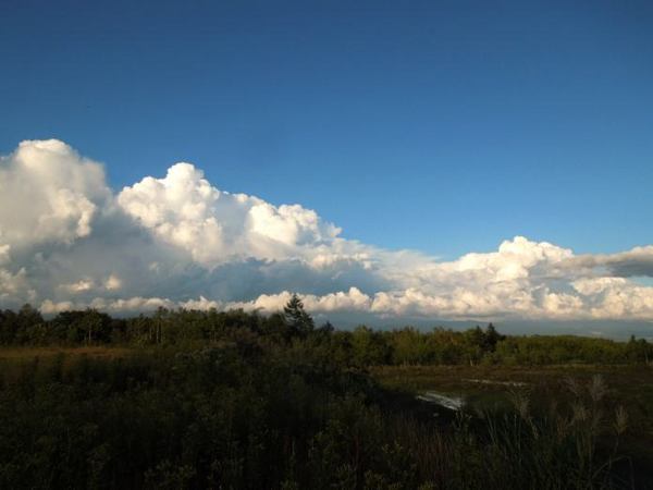 820-kumo-2.jpg