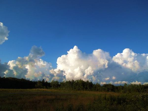 820-kumo.jpg