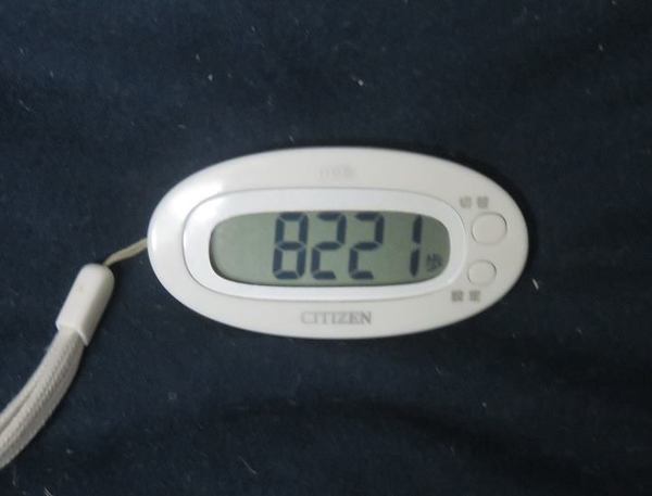 8221.jpg