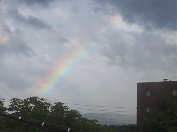 830-niji.jpg