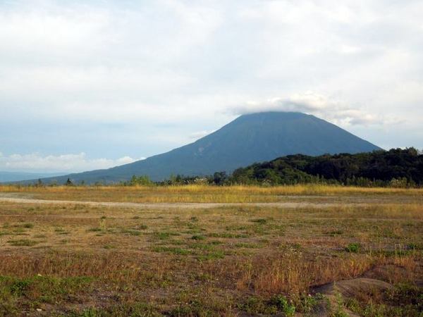 921-yoytei-p.jpg