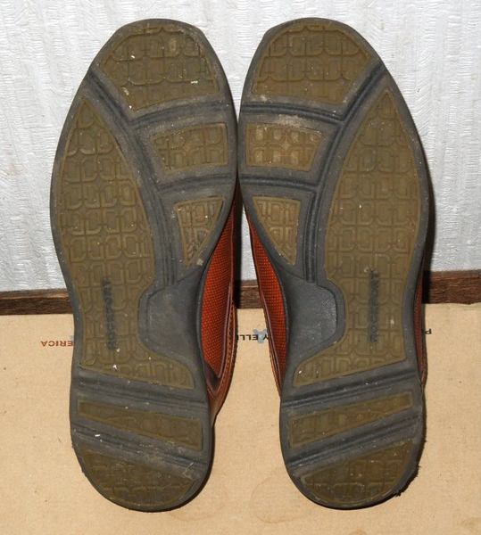 kutu-2.jpg