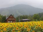 mirukukoubou-annnu.jpg