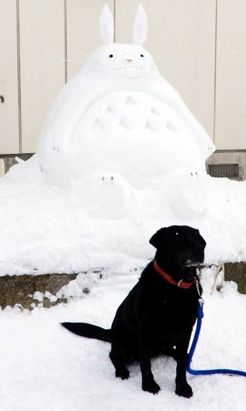 momo-totoro.jpg