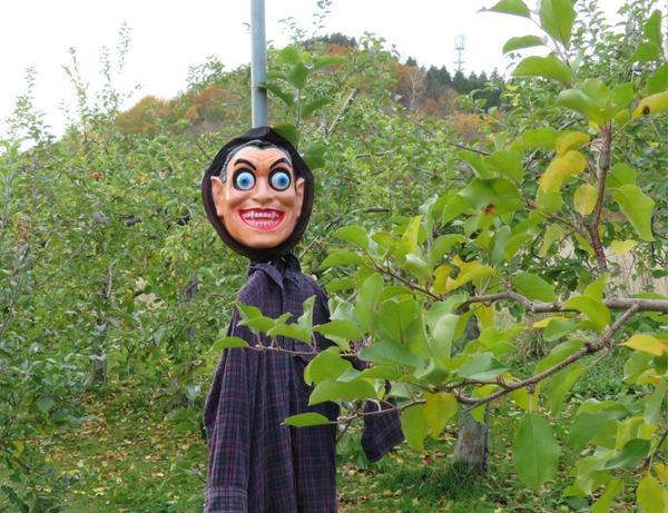 nanikore.jpg
