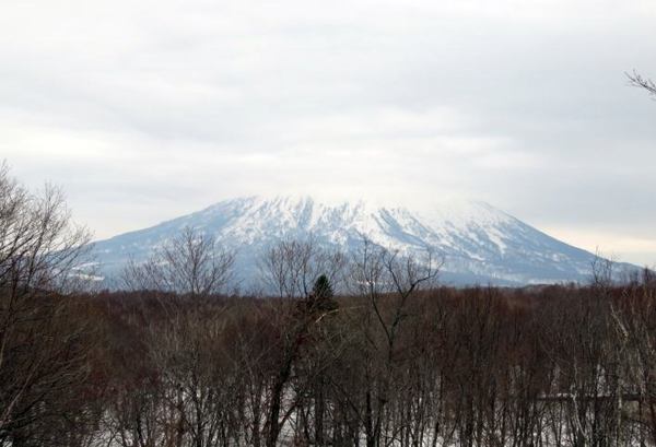 panorama.jpg
