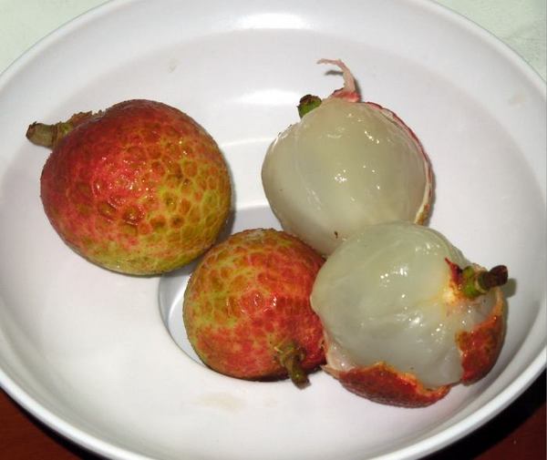 raichi-muku.jpg