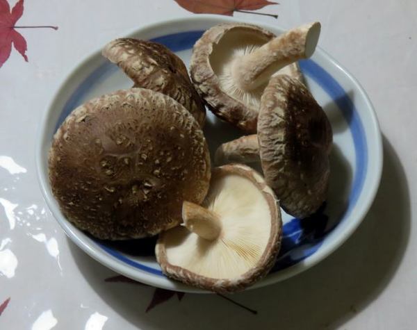 siitake.jpg