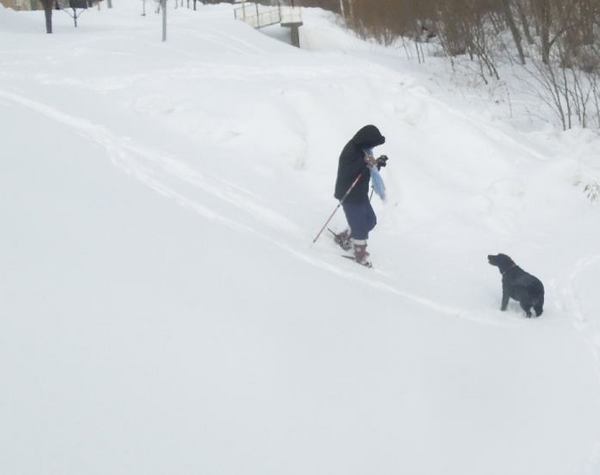 snow-15.jpg