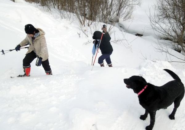 snow-7.jpg