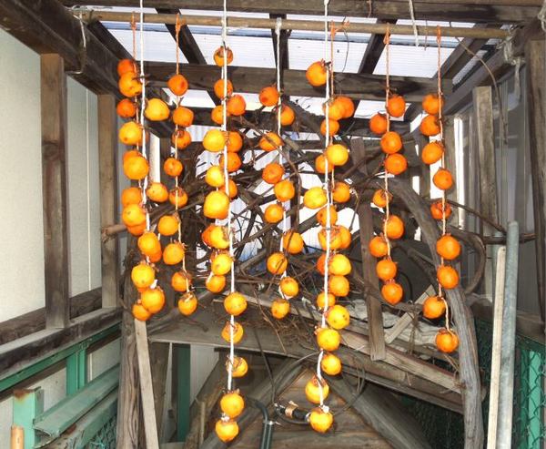 turusu-2.jpg