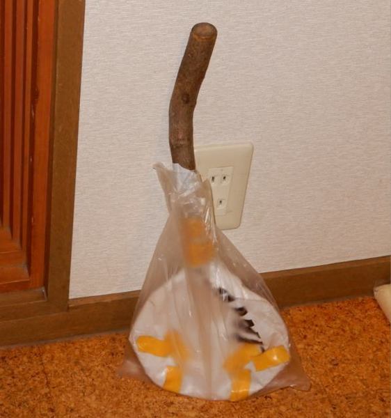 unnkotori.jpg
