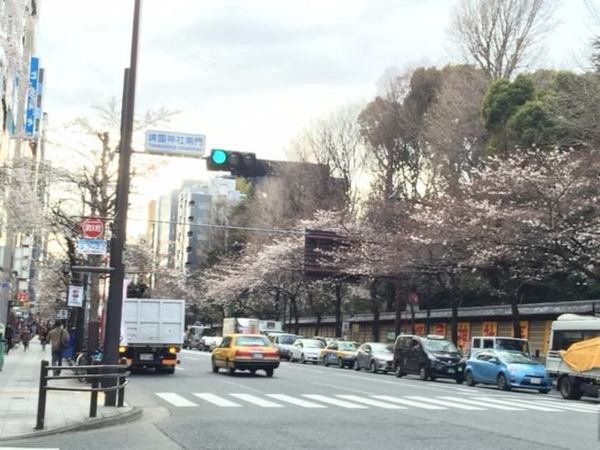 yasukuni.jpg
