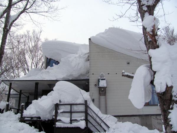 1229-minami-kara.jpg