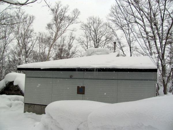 205-yane.jpg