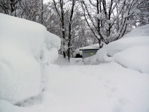 219-iriguchi.jpg