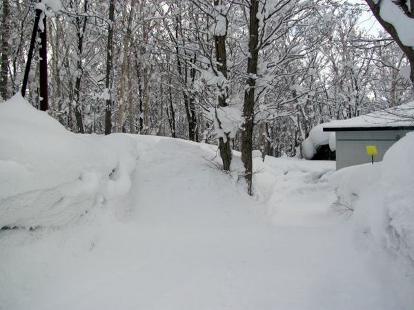 220-hutamata.jpg