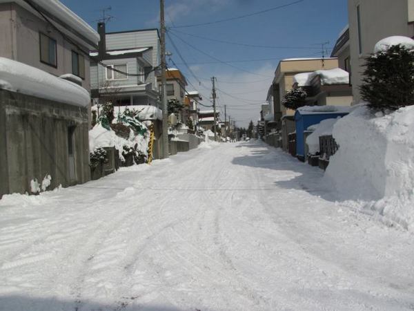 221-michi-2.jpg