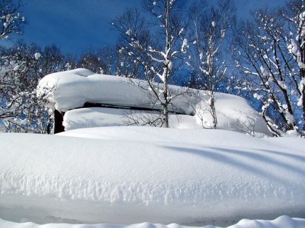 5-humei.jpg